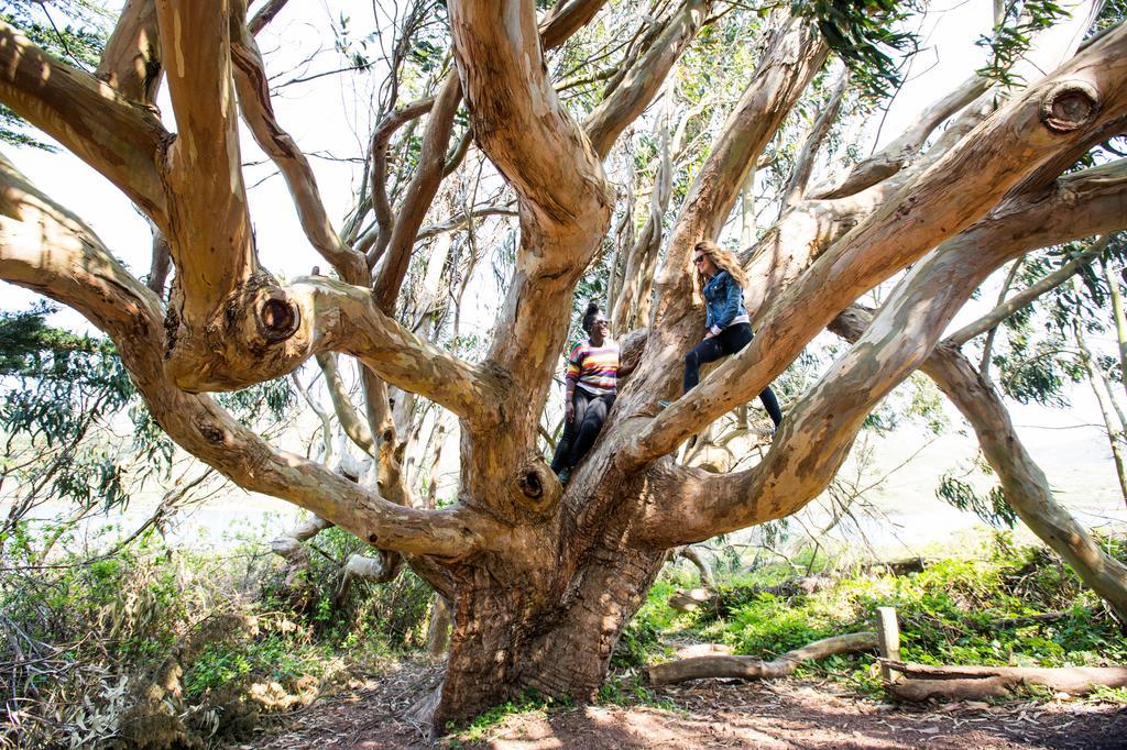 سوساليتو Hi Marin Headlands Hostel المظهر الخارجي الصورة
