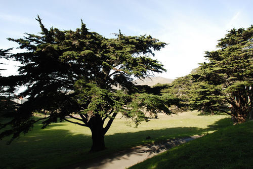 سوساليتو Hi Marin Headlands Hostel المظهر الخارجي الصورة
